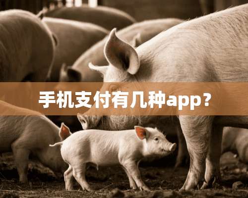 手机支付有几种app？