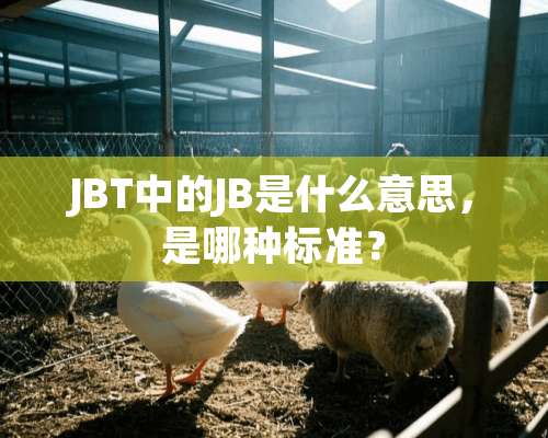 JBT中的JB是什么意思，是哪种标准？