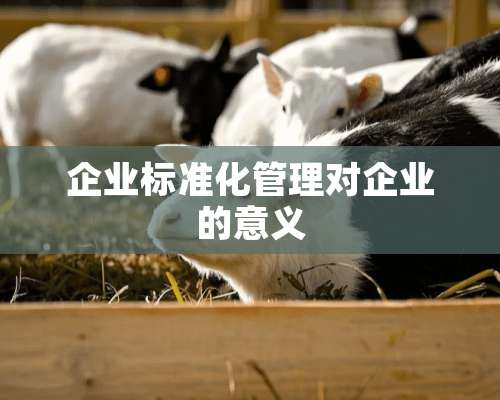 企业标准化管理对企业的意义