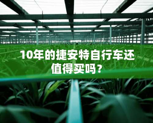 10年的捷安特自行车还值得买吗？