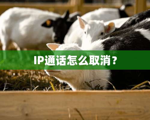 IP通话怎么取消？