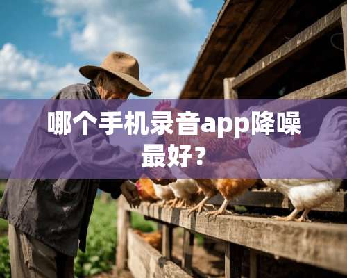 哪个手机录音app降噪最好？