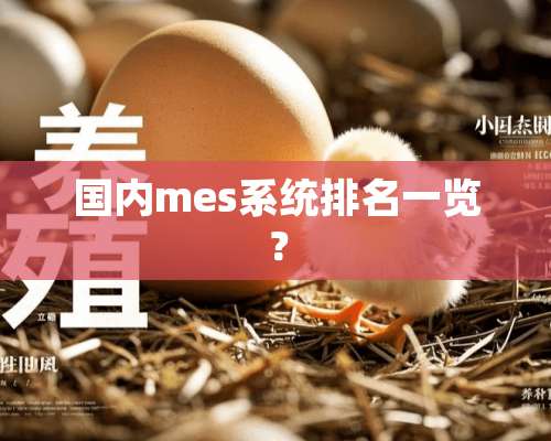 国内mes系统排名一览？