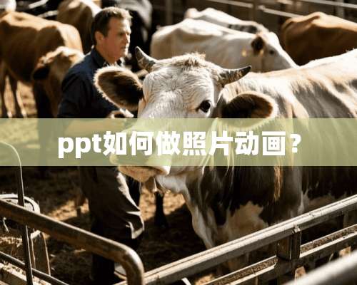 ppt如何做照片动画？