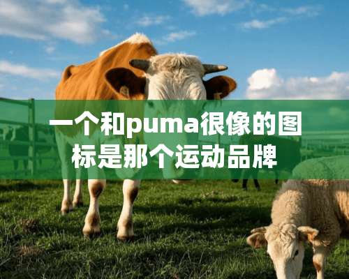 一个和puma很像的图标是那个运动品牌