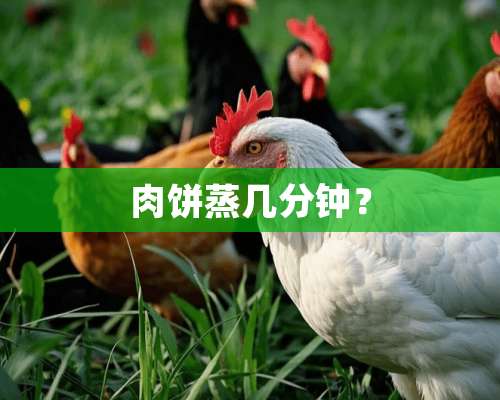 肉饼蒸几分钟？