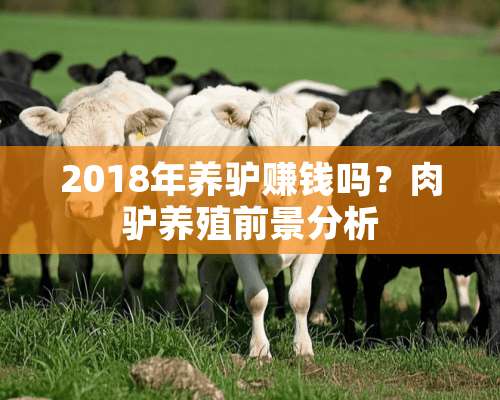 2018年养驴赚钱吗？肉驴养殖前景分析