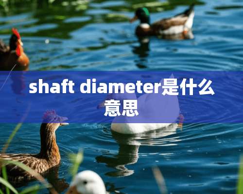 shaft diameter是什么意思