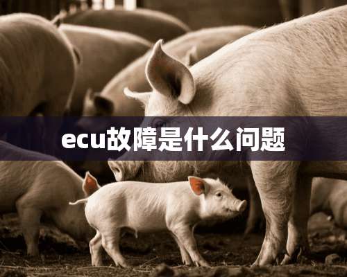 ecu故障是什么问题