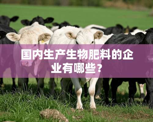 国内生产生物肥料的企业有哪些？