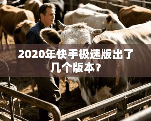 2020年快手极速版出了几个版本？