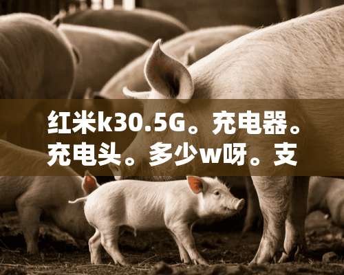 红米k30.5G。充电器。充电头。多少w呀。支持。多少w，充电。告诉我吧？