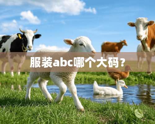 服装abc哪个大码？