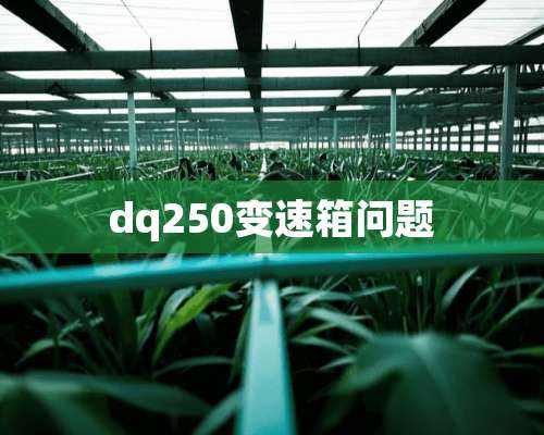 dq250变速箱问题