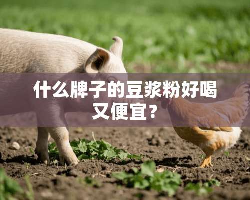 什么牌子的豆浆粉好喝又便宜？