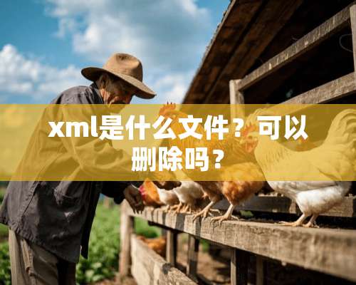 xml是什么文件？可以删除吗？