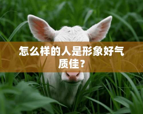 怎么样的人是形象好气质佳？