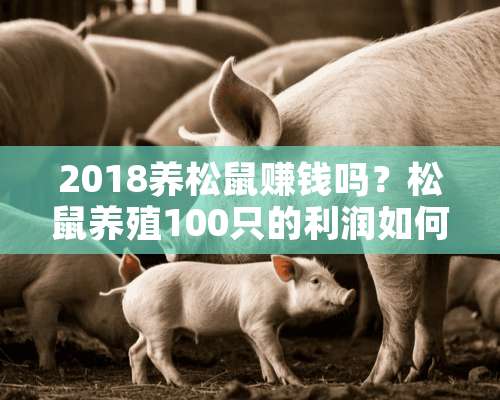 2018养松鼠赚钱吗？松鼠养殖100只的利润如何