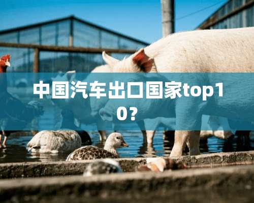 中国汽车出口国家top10？