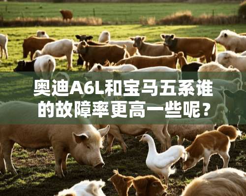 奥迪A6L和宝马五系谁的故障率更高一些呢？