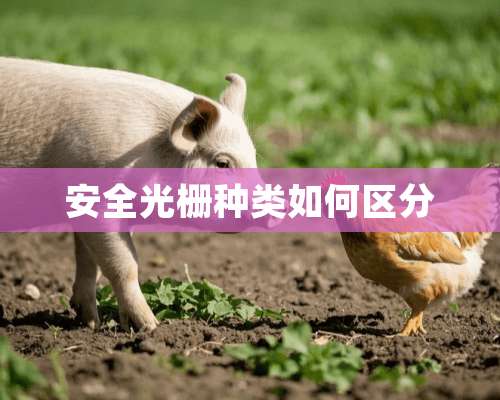 安全光栅种类如何区分