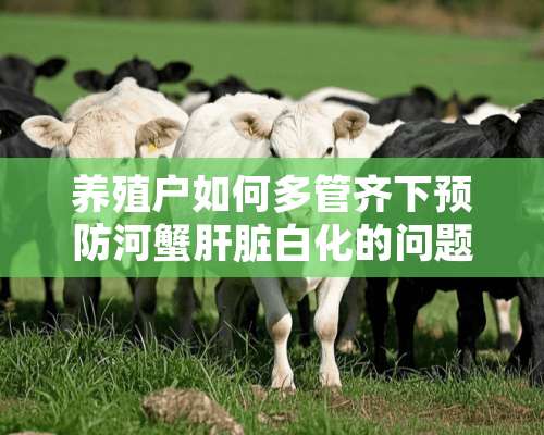 养殖户如何多管齐下预防河蟹肝脏白化的问题