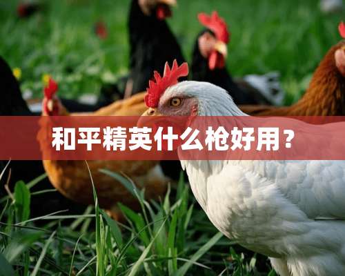 和平精英什么*好用？