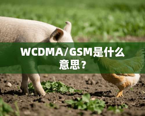 WCDMA/GSM是什么意思？