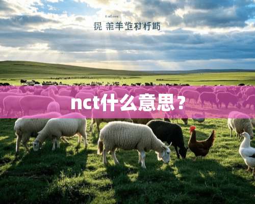 nct什么意思？