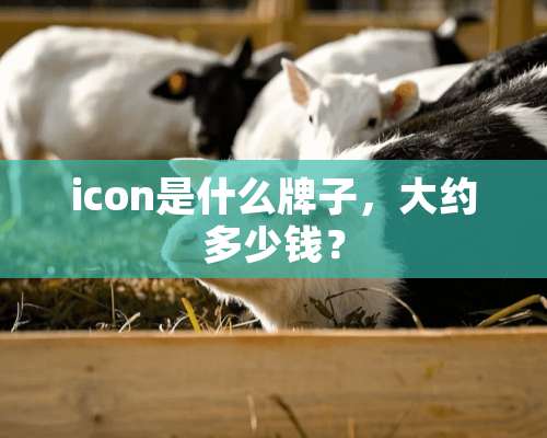 icon是什么牌子，大约多少钱？