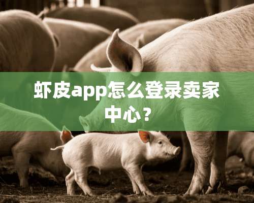 虾皮app怎么登录卖家中心？