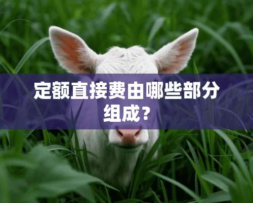 定额直接费由哪些部分组成？