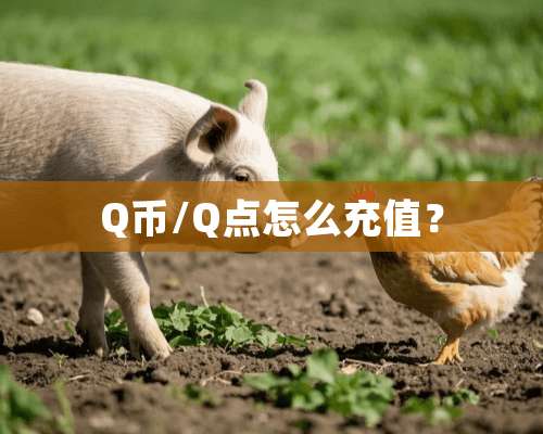 Q币/Q点怎么充值？