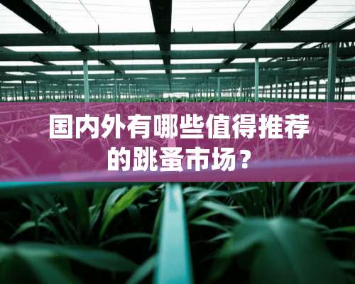 国内外有哪些值得推荐的跳蚤市场？