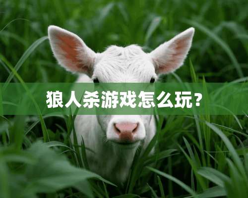 狼人杀游戏怎么玩？