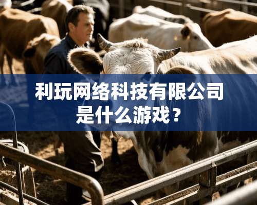 利玩网络科技有限公司是什么游戏？