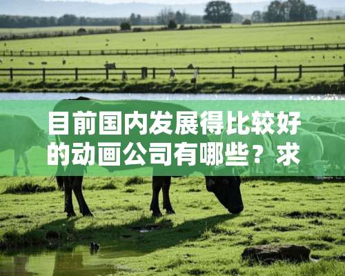 目前国内发展得比较好的动画公司有哪些？求真实讲解