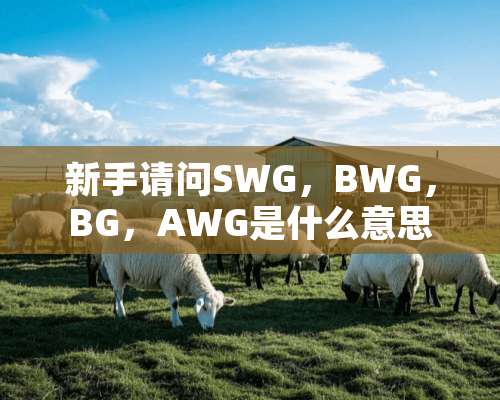 新手请问SWG，BWG，BG，AWG是什么意思