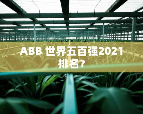 ABB 世界五百强2021排名？