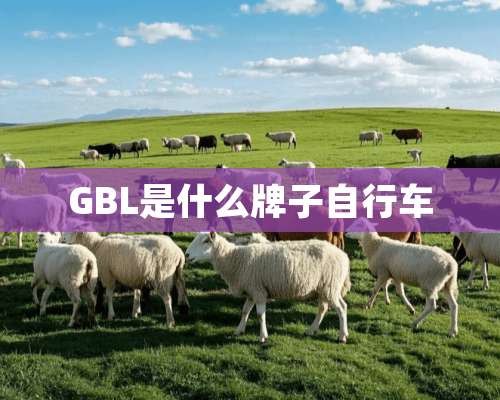 GBL是什么牌子自行车