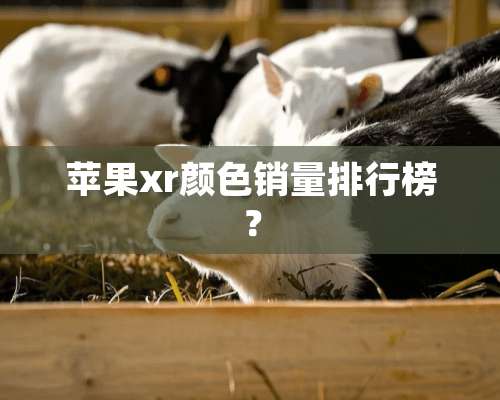 苹果xr颜色销量排行榜？