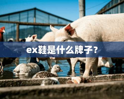 ex鞋是什么牌子？