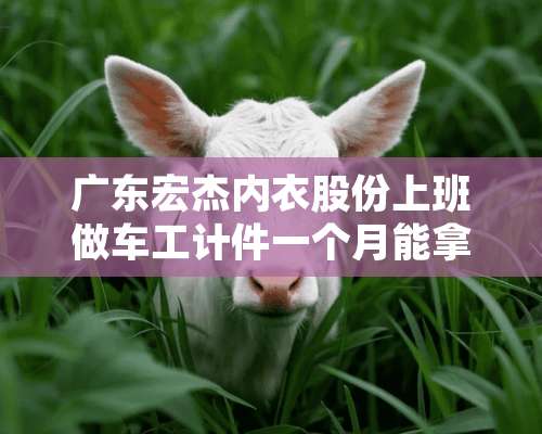 广东宏杰**股份上班做车工计件一个月能拿多少？