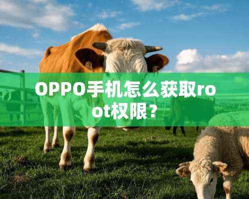 OPPO手机怎么获取root权限？