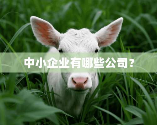 中小企业有哪些公司？