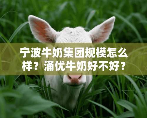 宁波牛奶集团规模怎么样？涌优牛奶好不好？