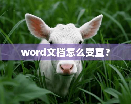 word文档怎么变直？