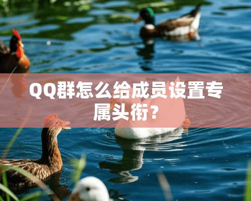 QQ群怎么给成员设置专属头衔？