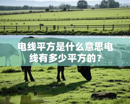 电线平方是什么意思电线有多少平方的？