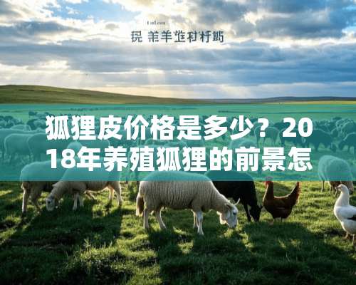 狐狸皮价格是多少？2018年养殖狐狸的前景怎么样？